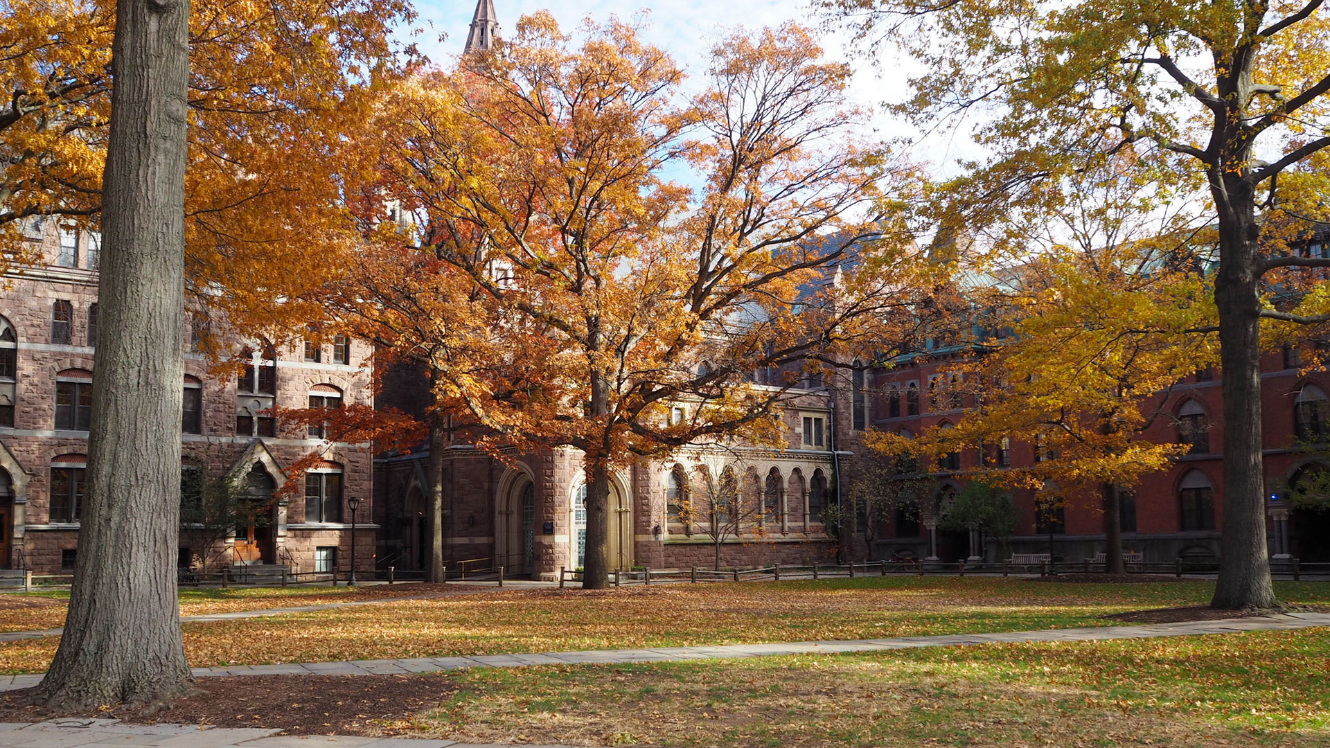 yale university campus