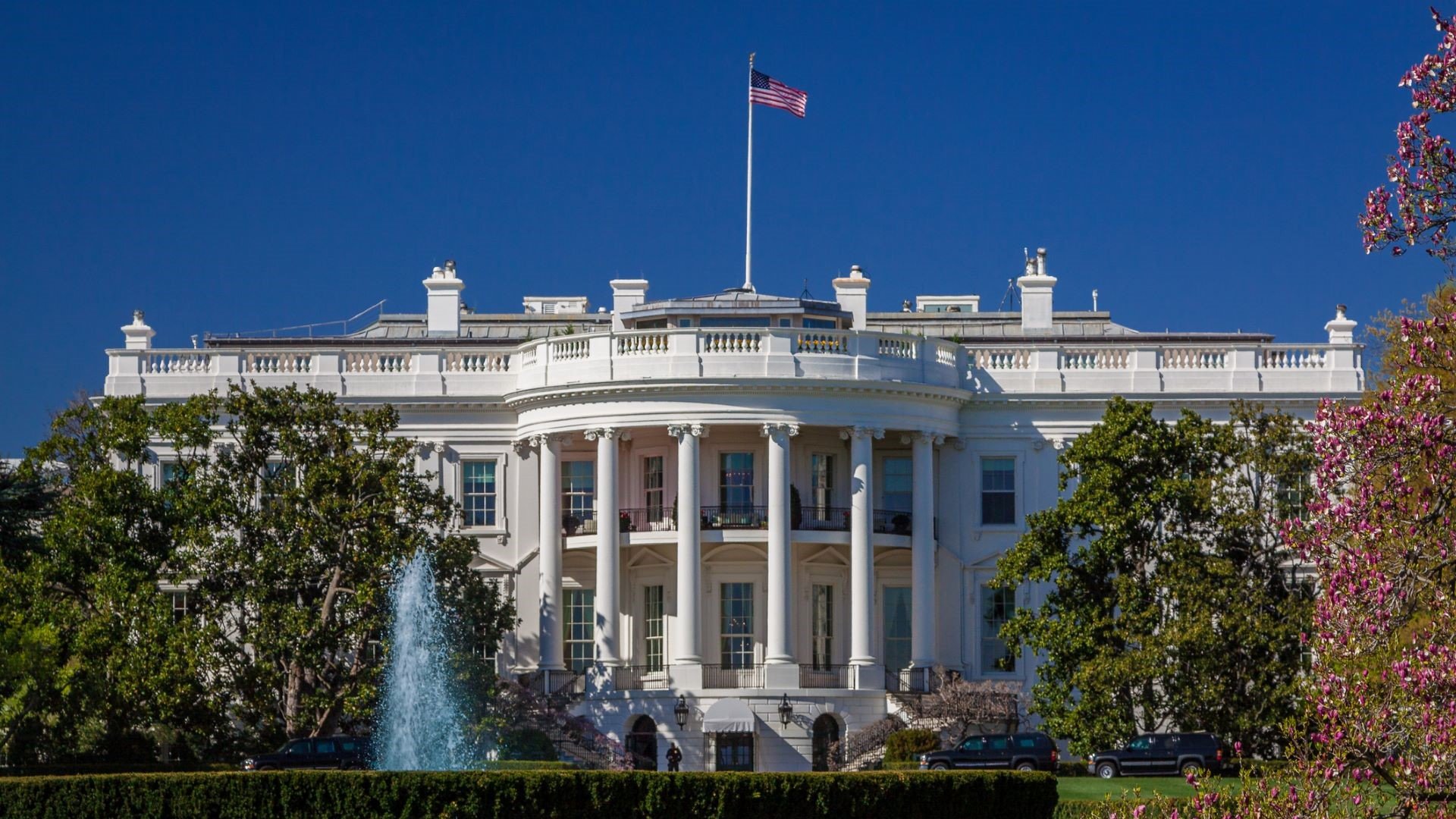 the white house