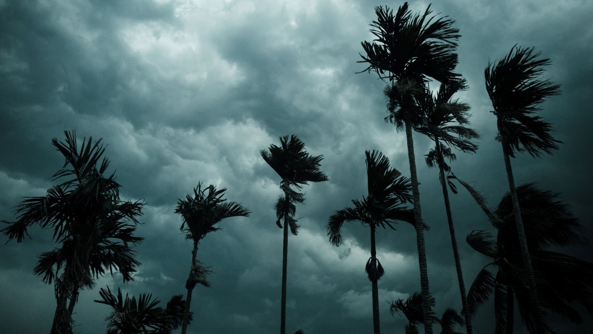 Catastrophic Weather