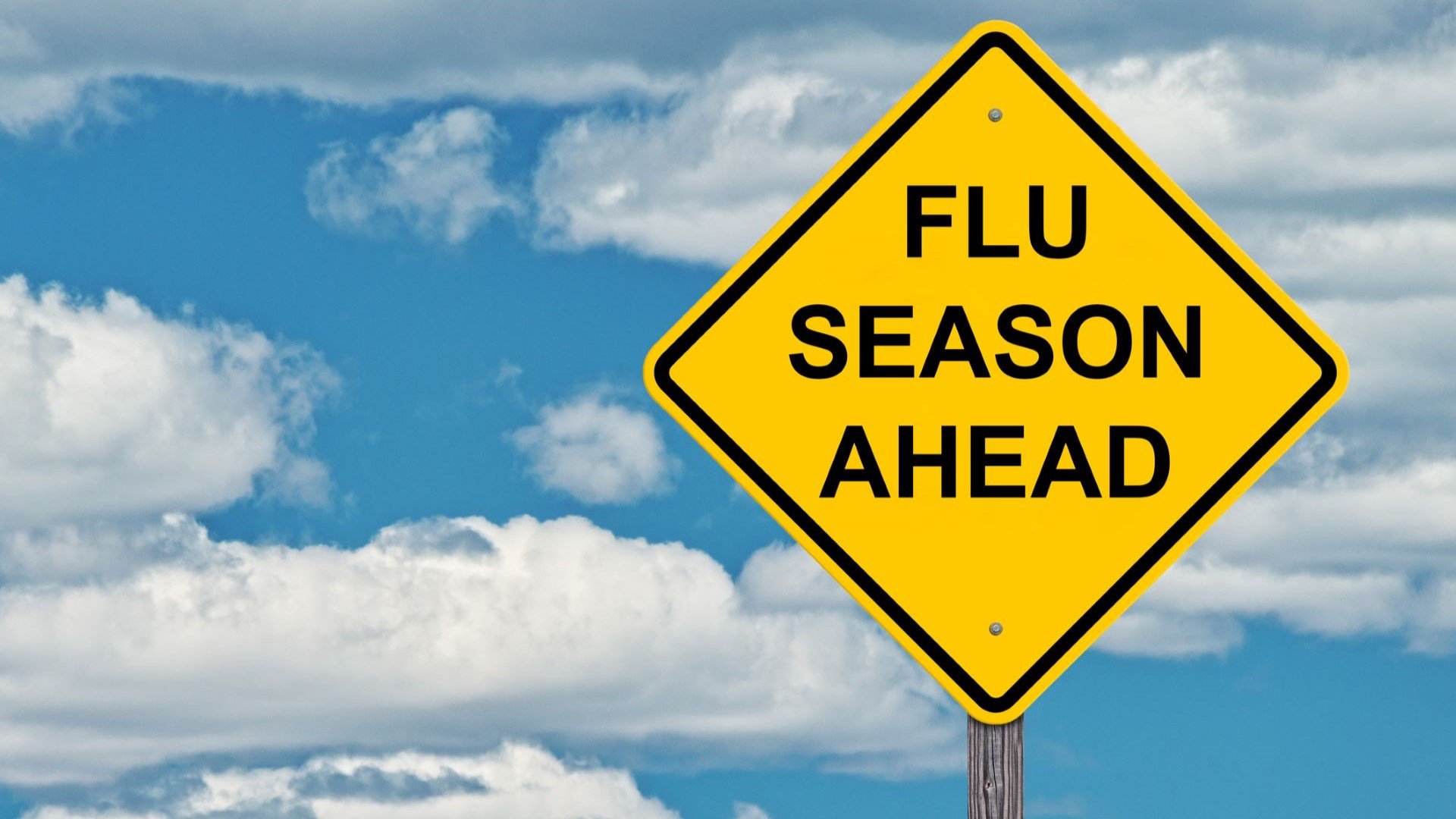 Flu Season Masthead