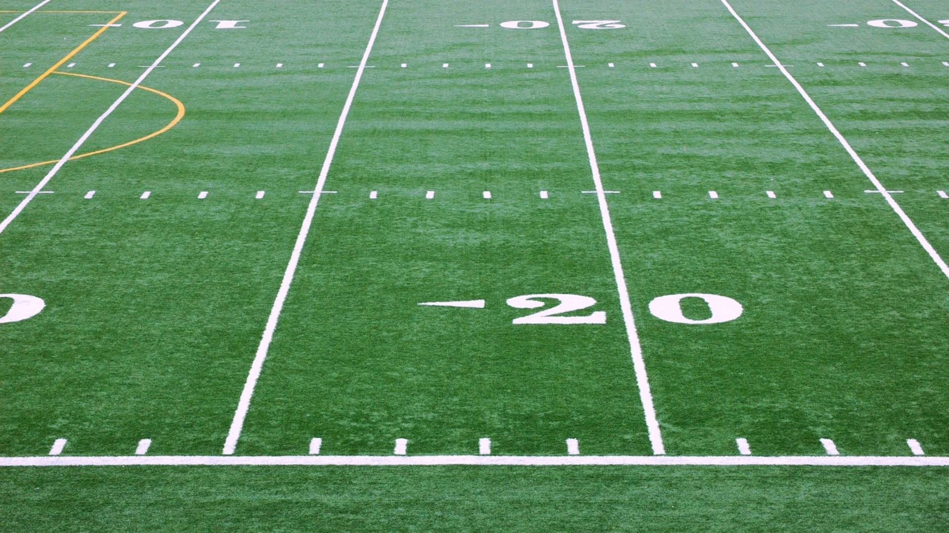 Artificial Turf