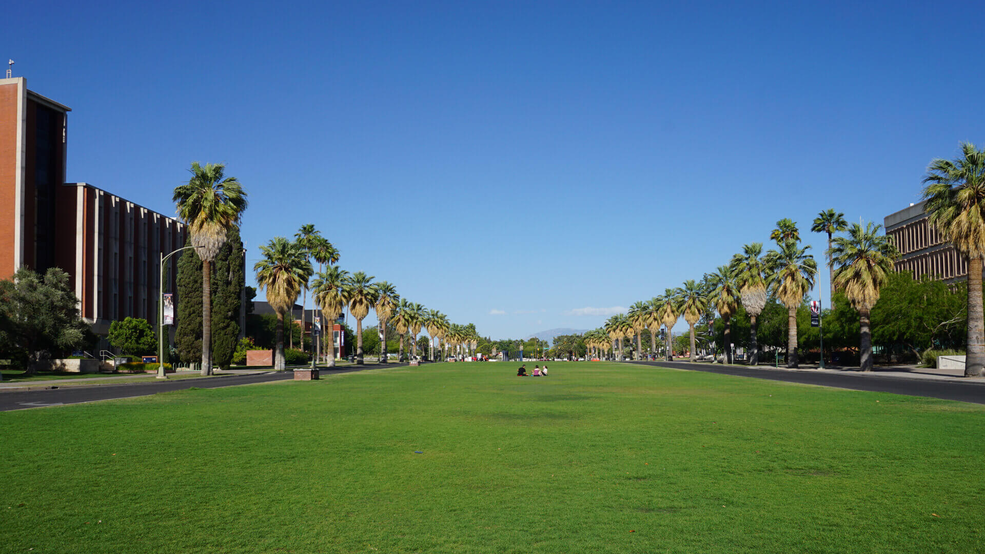 University of Arizona